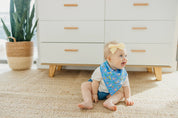 Bandana Bib Set of 4- Birdie