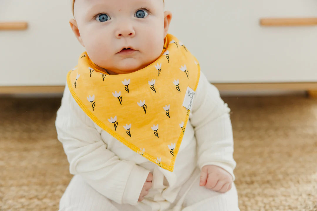 Bandana Bib Set of 4- Birdie