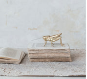 Resin & Metal Grasshopper, Gold Finish