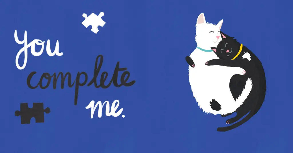 Crazy Cat Lady Book