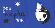 Crazy Cat Lady Book