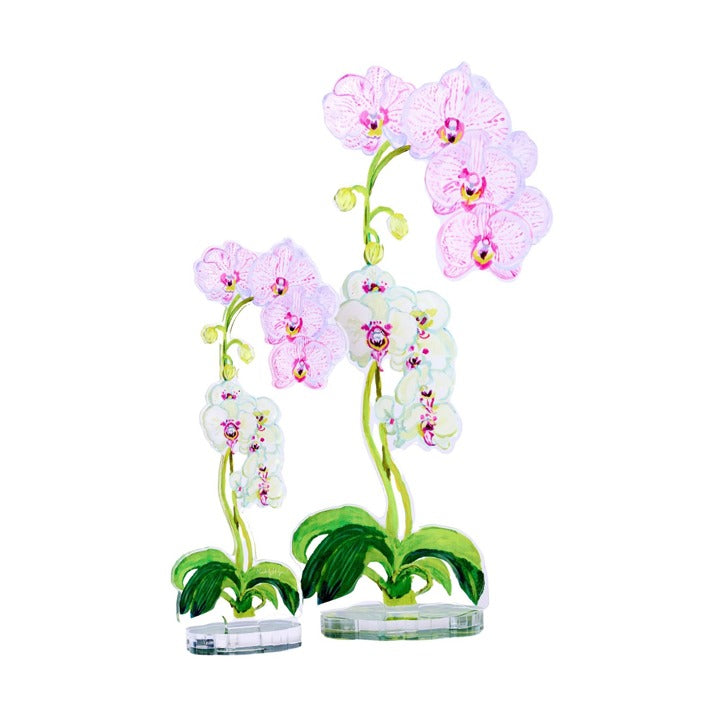 Acrylic Flower Pink Stripe Orchid - Small