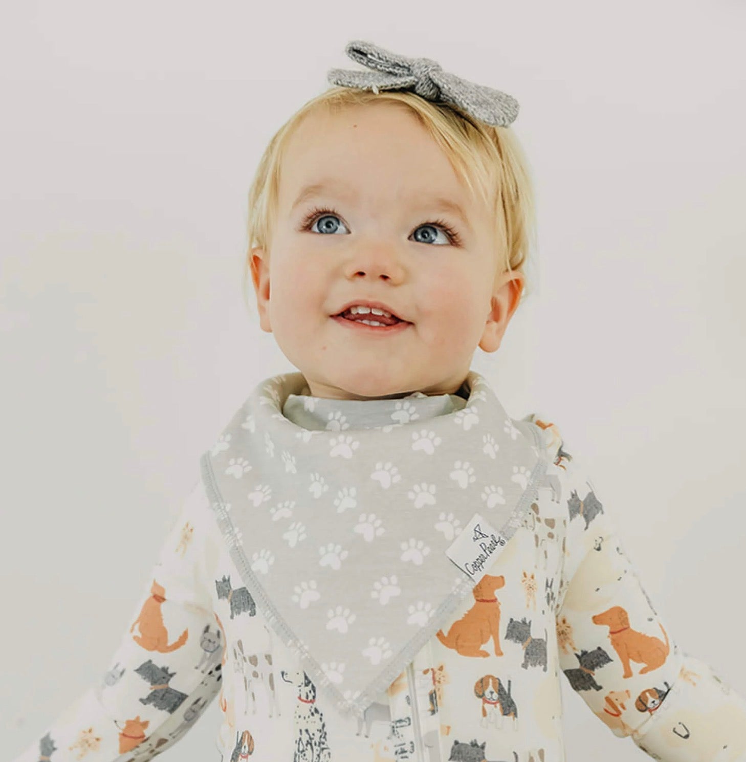 Bandana Bib Set of 4- Rufus