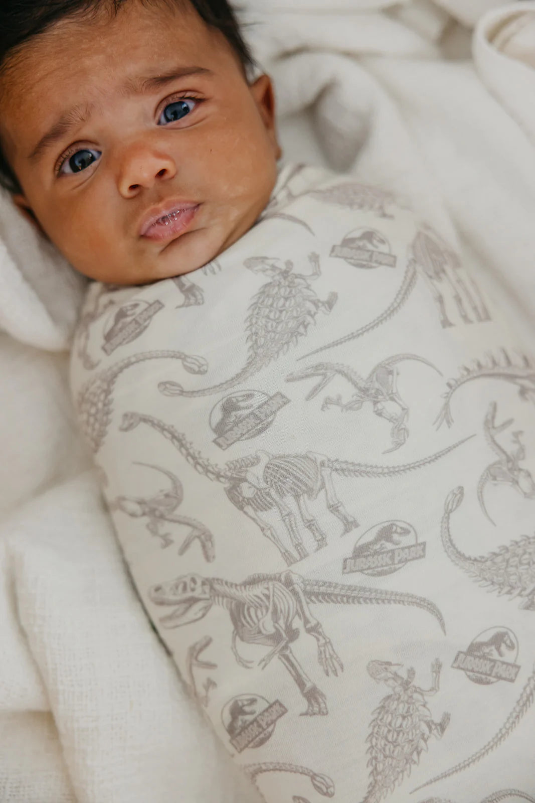 Knit Swaddle Blanket- Jurassic Park Fossils