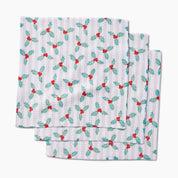 Dishcloth Set - Mistle Stripe