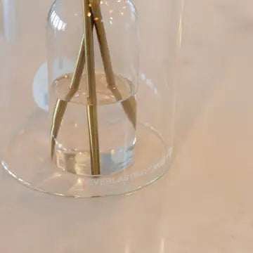 Everlasting Candle Glass Hurricane Candle Holder