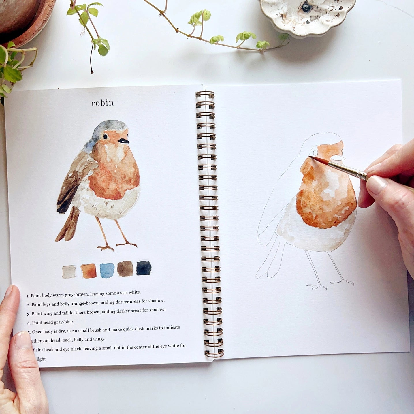 Birds Watercolor Workbook With Watercolor Paint Set