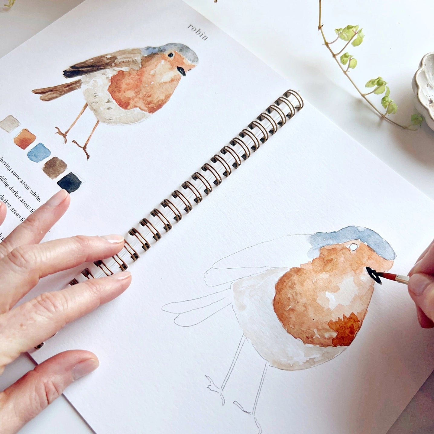 Birds Watercolor Workbook With Watercolor Paint Set