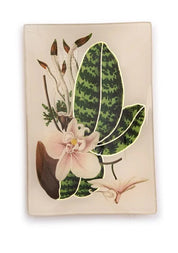 Trinket Tray- Butterfly/ Botanical