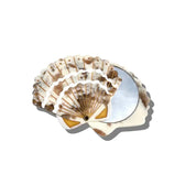 Hand Painted Vintage Compact Mirror - Seashell