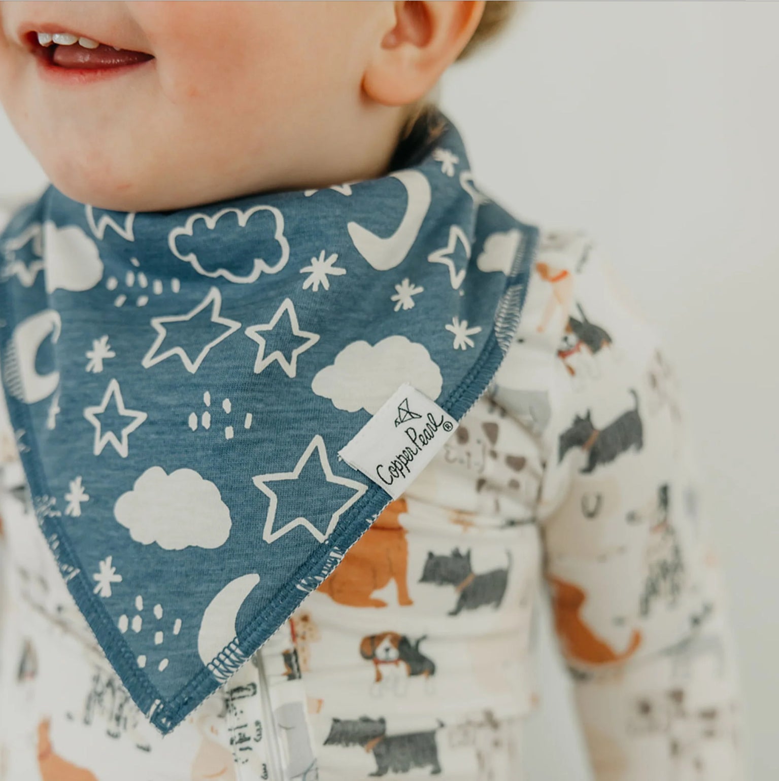 Bandana Bib Set of 2- Rufus