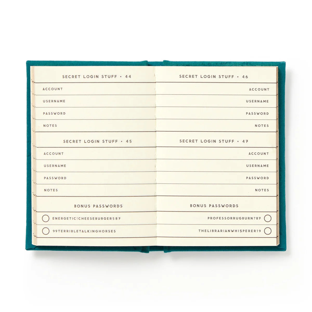 A Tiny Diary Definitely Not My Passwords