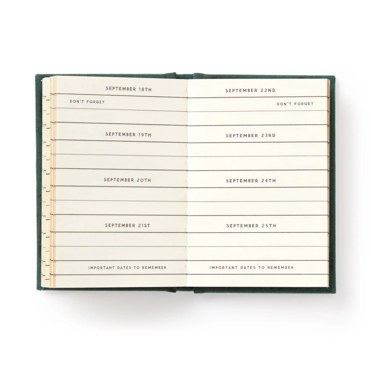 A Tiny Diary Dates People Get Mad If I Forget