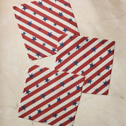 Dishcloth Set - Patriotic Stripe