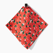 Dishcloth Set - Winter Flora