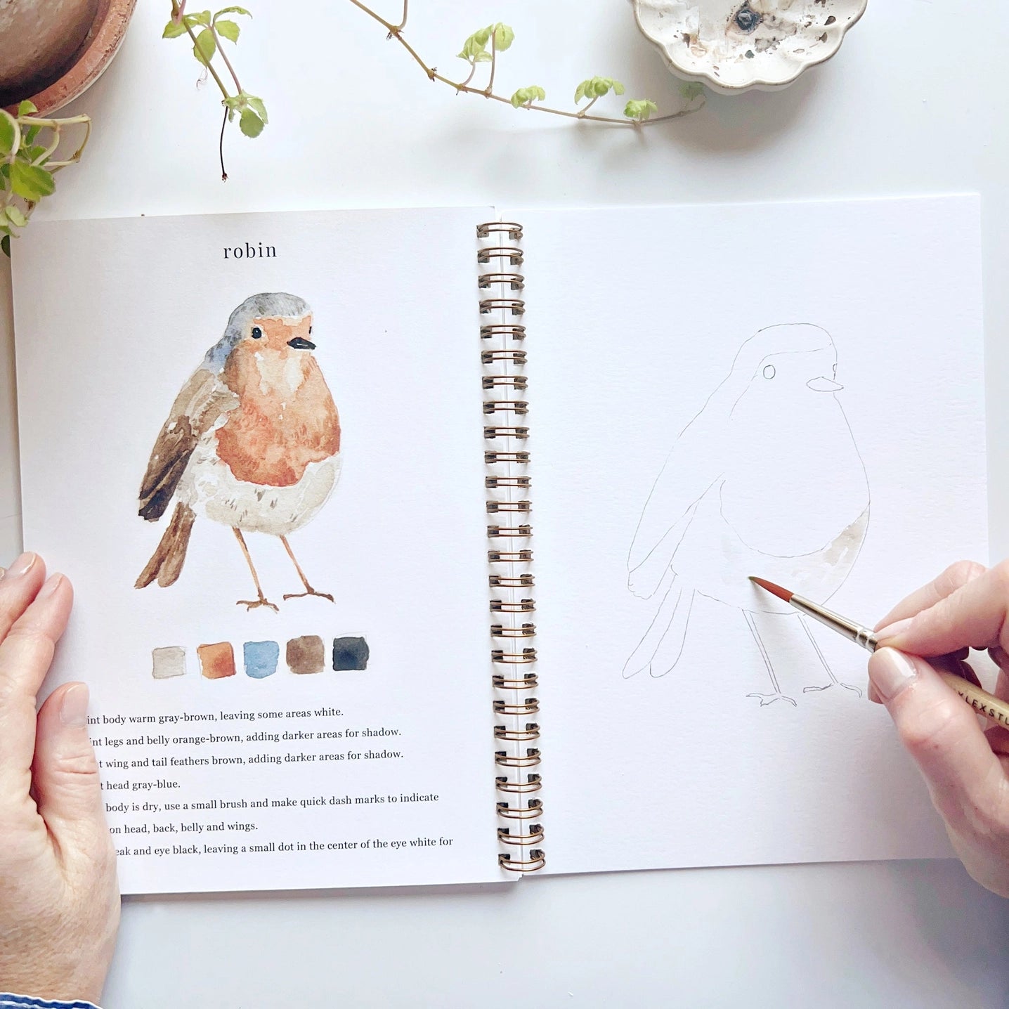 Birds Watercolor Workbook With Watercolor Paint Set