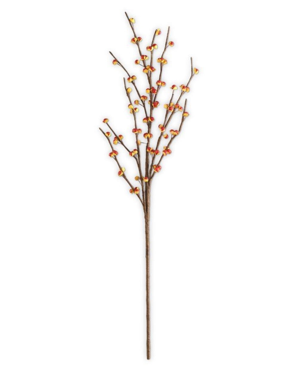 31.5 in Bittersweet Stem