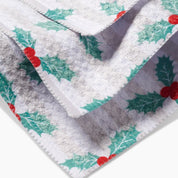 Dishcloth Set - Mistle Stripe