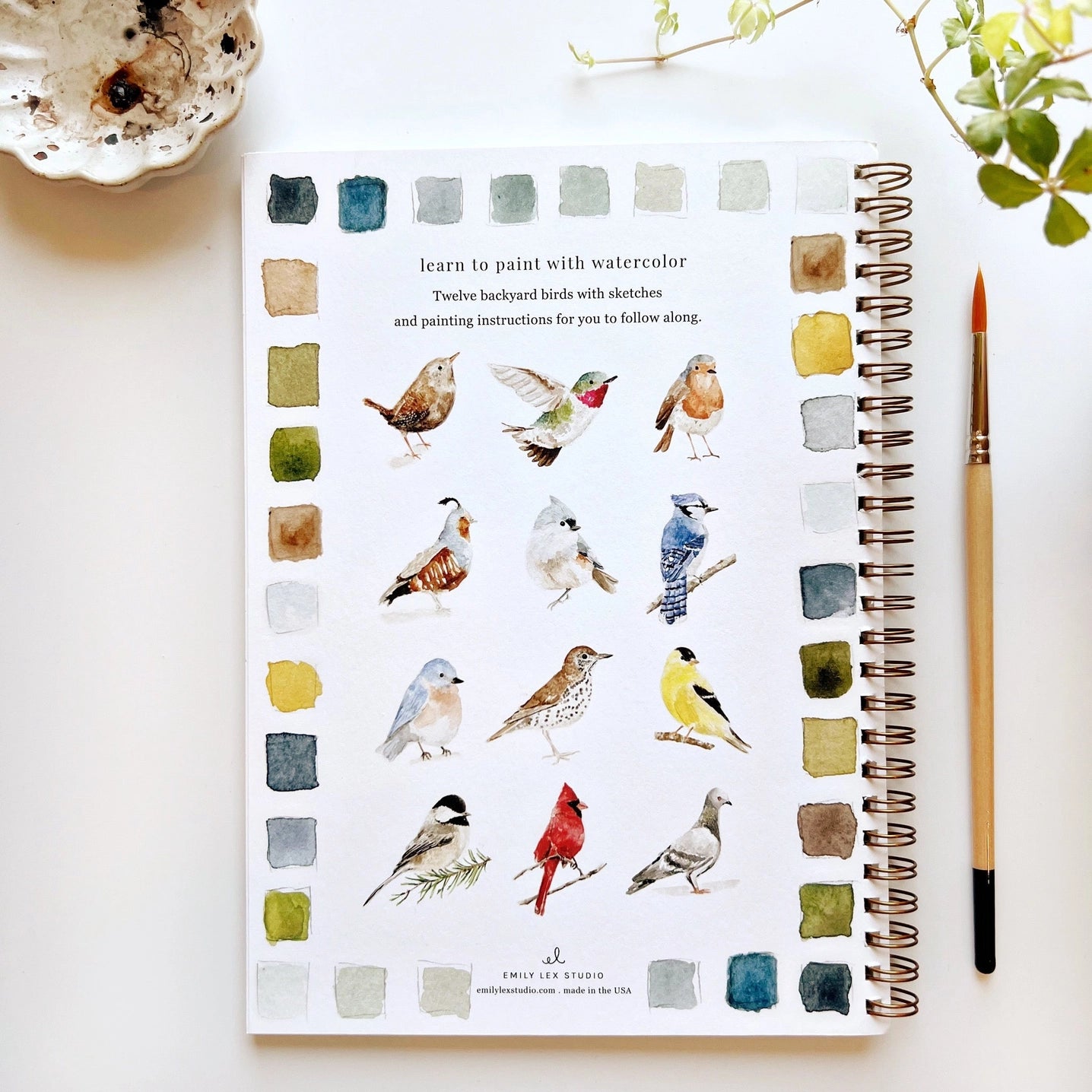 Birds Watercolor Workbook With Watercolor Paint Set