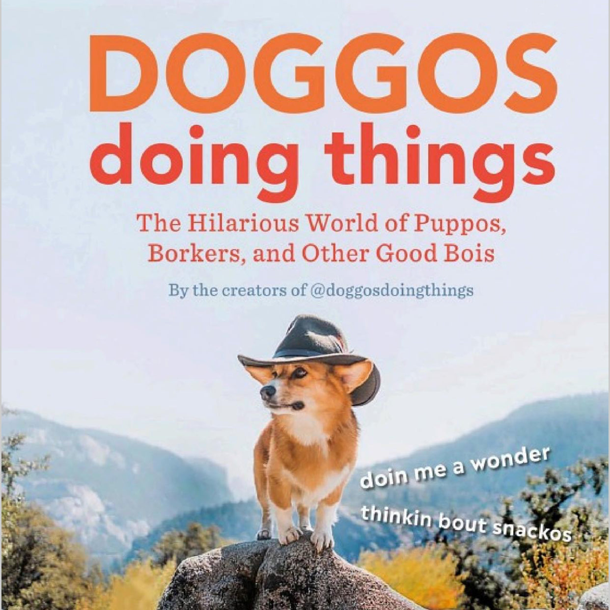 Doggos Doing Things: The Hilarious World of Puppos, Borkers, and Other Good Bois
