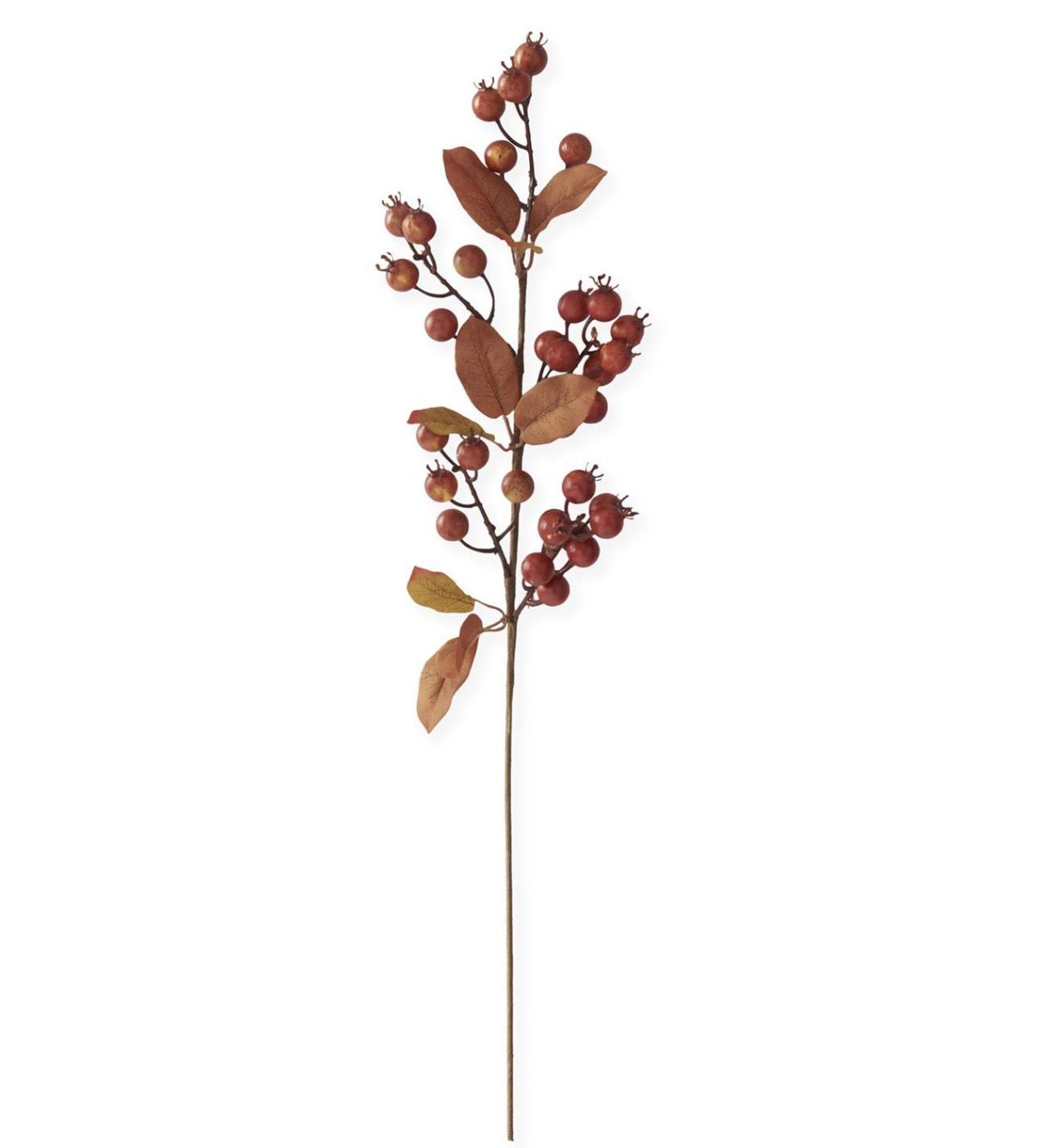 31 Inch Dark Orange Berry Stem