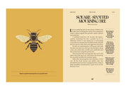Bees