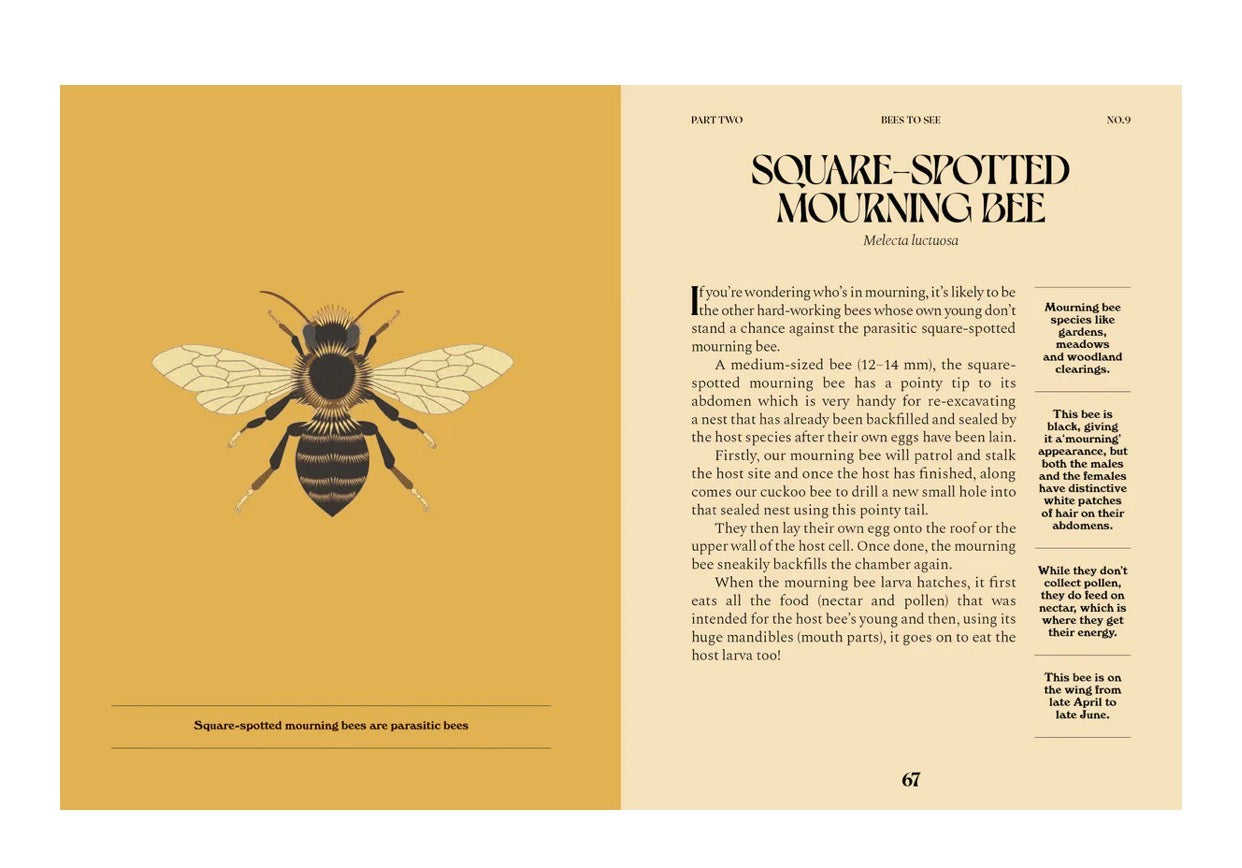 Bees