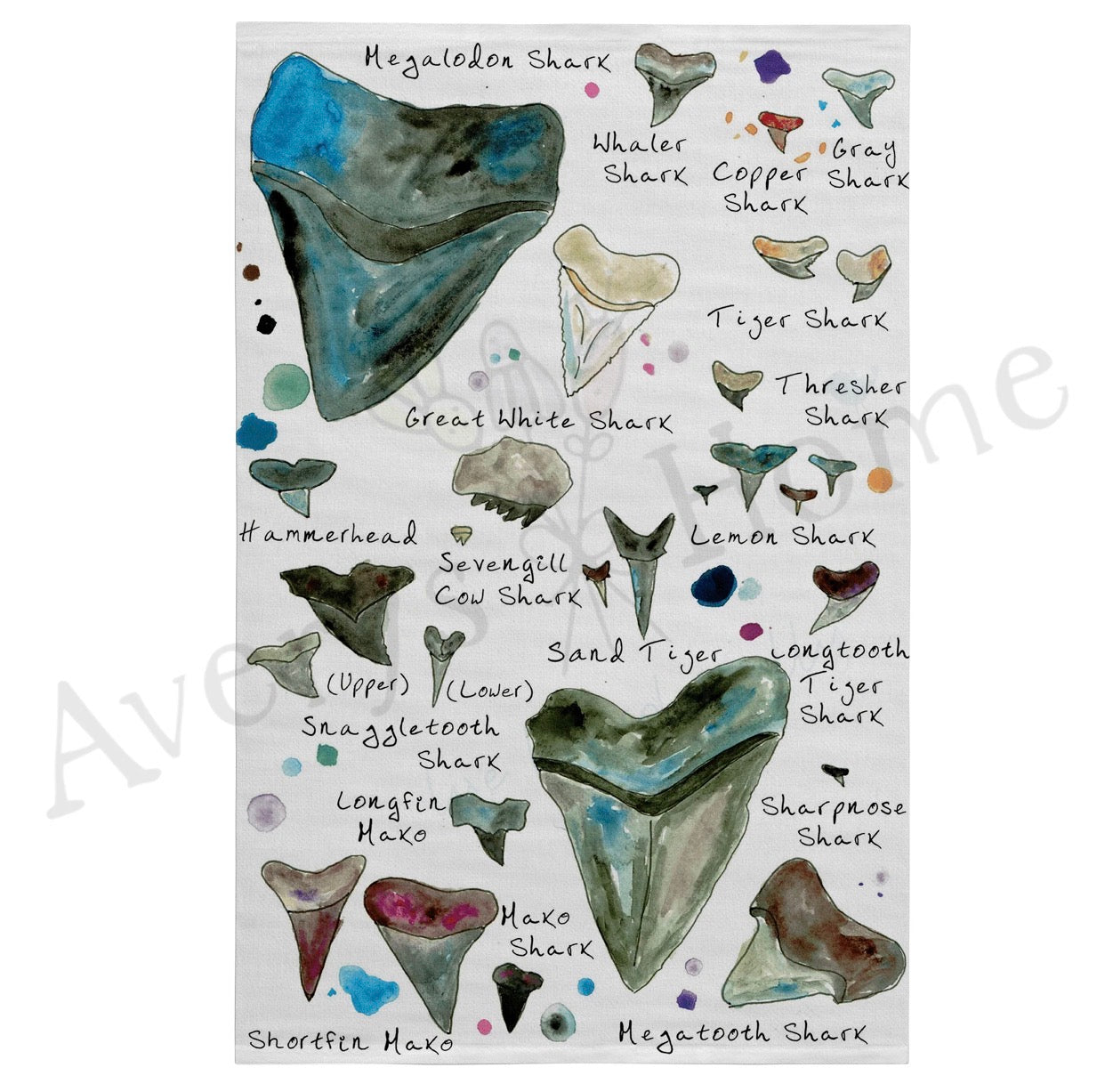 Kitchen Towel / Shark Tooth Collector