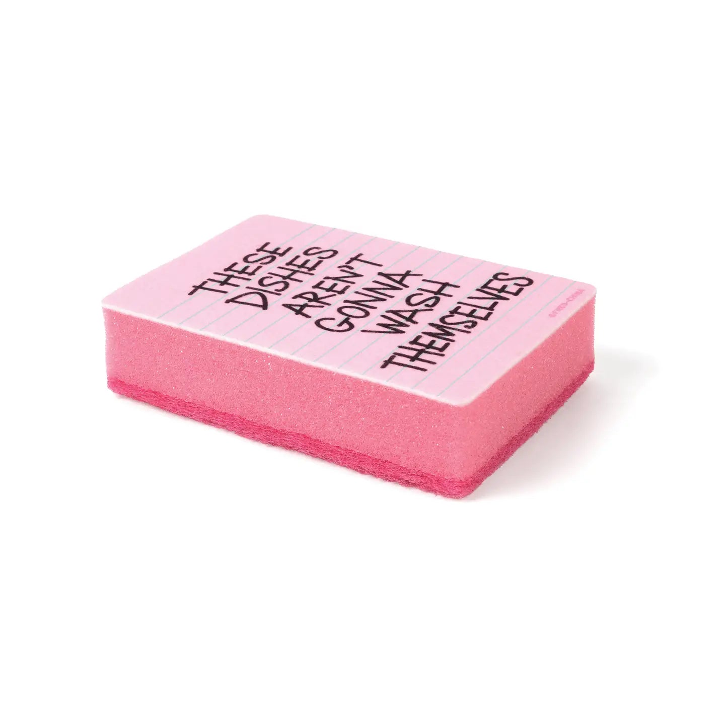 Sponges- Clean Conscience