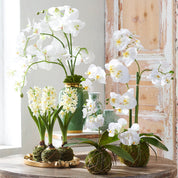Real Touch White Orchid With Moss Ball 15”