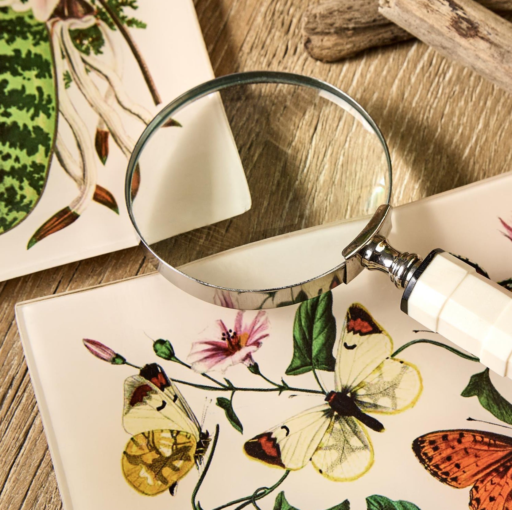 Trinket Tray- Butterfly/ Botanical