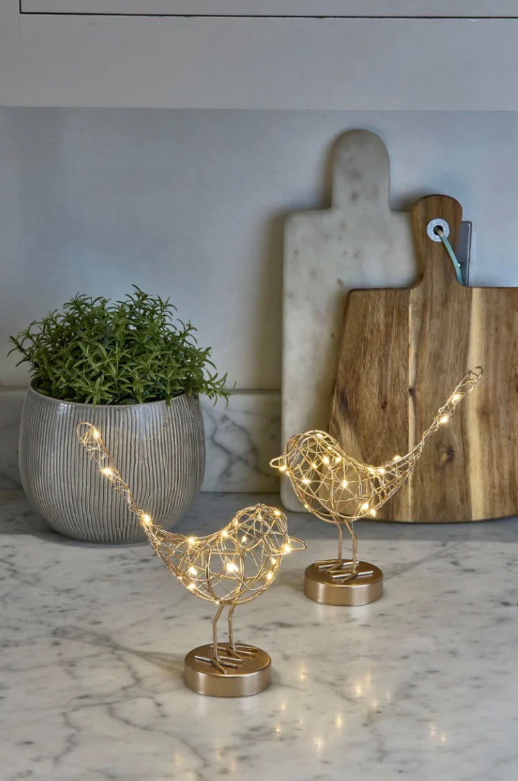 LED Table Robin Light