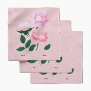 Dishcloth Set - August Poppy