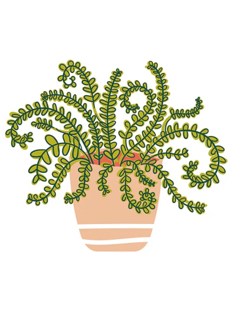 Mini Attachment- House Plant