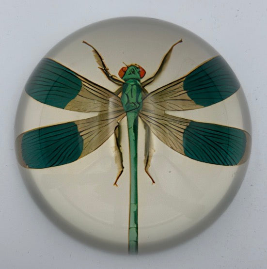 Dragonfly Paperweight