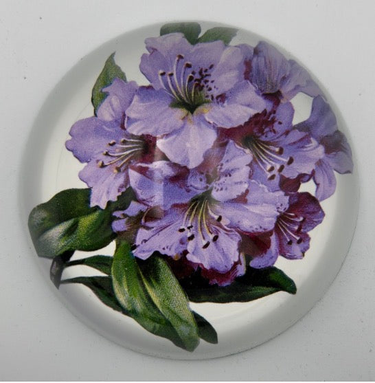 Purple Hibiscus Paperweight