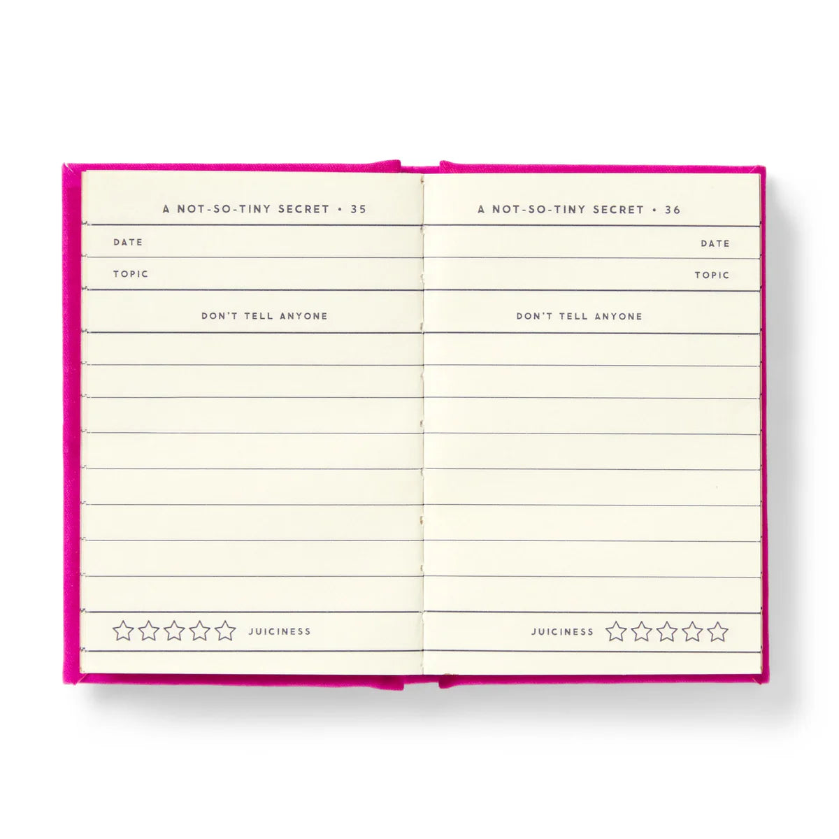 A Tiny Diary For Not-So -Tiny Secrets