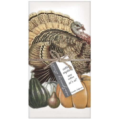 Napkins Set of 4- Turkey/Pumpkin
