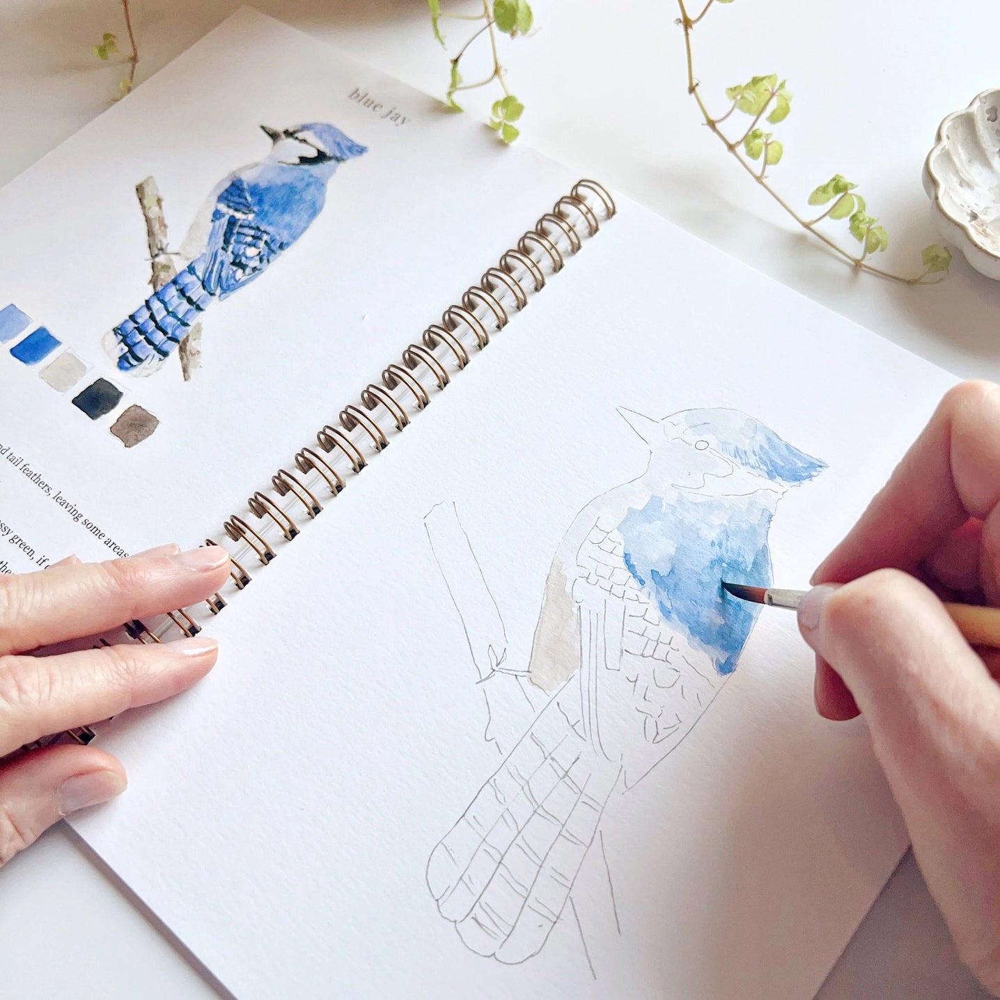Birds Watercolor Workbook With Watercolor Paint Set