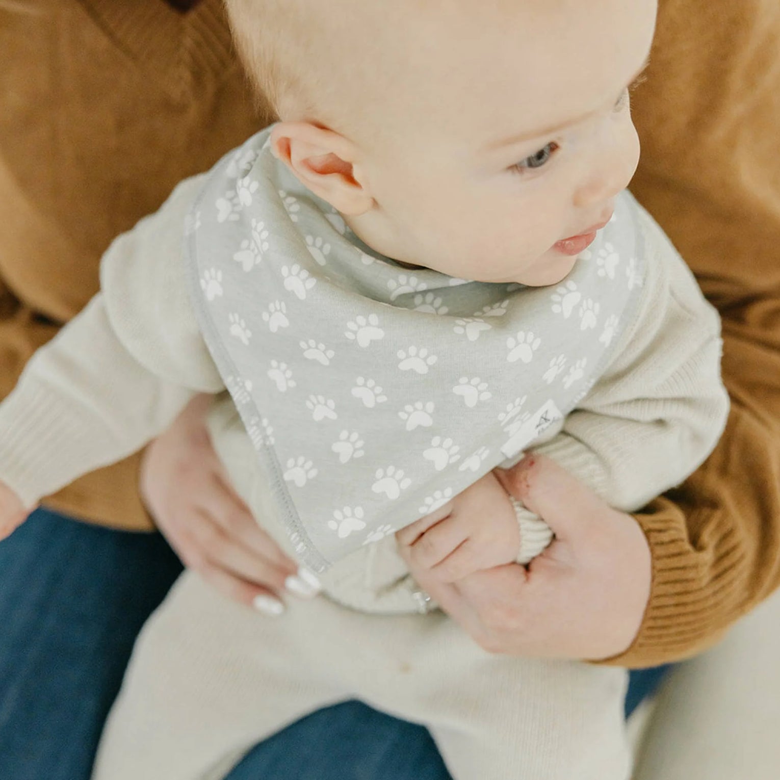 Bandana Bib Set of 2- Rufus