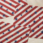 Dishcloth Set - Patriotic Stripe