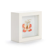 Butterfly Shadow Box 4in- Loved So Much- Coral