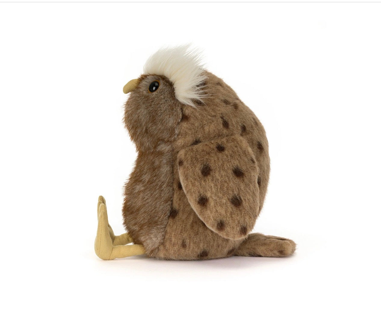 Tawoola Owl