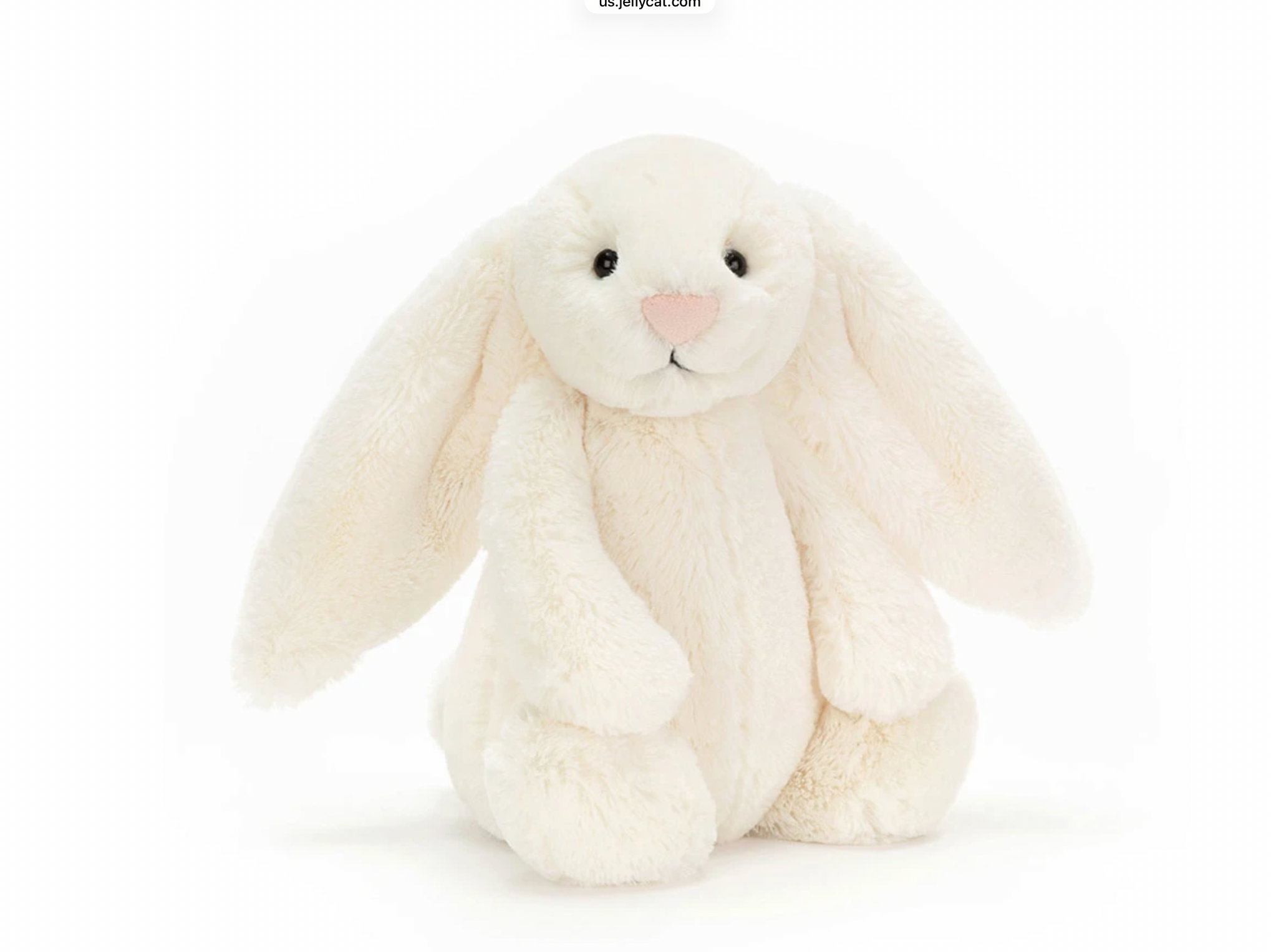 C55B86EC-D157-401C-BACE-5302C804F04D.png