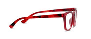 Peepers- Lenora - Red Fire Tortoise