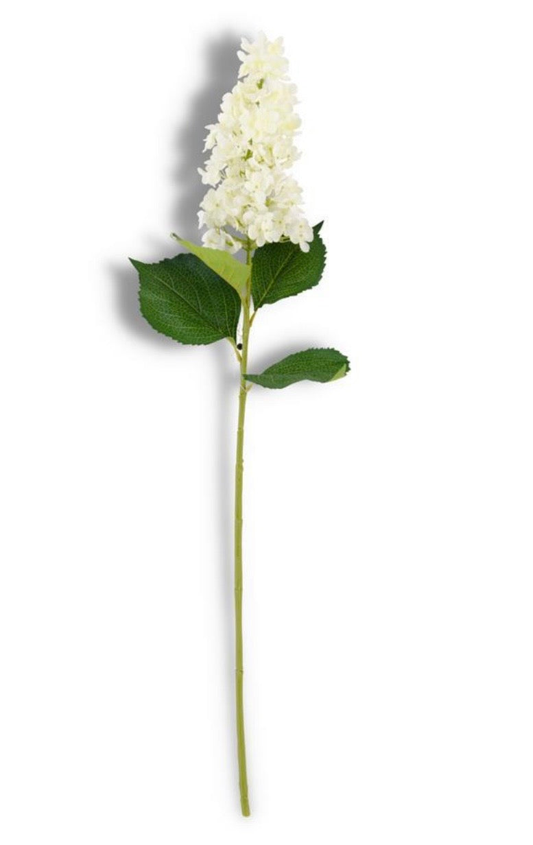 White Cone Hydrangea - White 38.5”