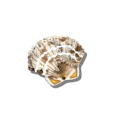 Hand Painted Vintage Compact Mirror - Seashell
