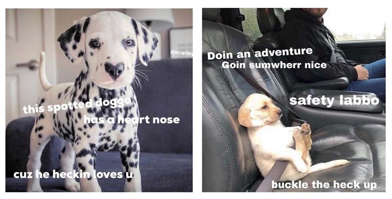 Doggos Doing Things: The Hilarious World of Puppos, Borkers, and Other Good Bois