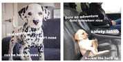 Doggos Doing Things: The Hilarious World of Puppos, Borkers, and Other Good Bois