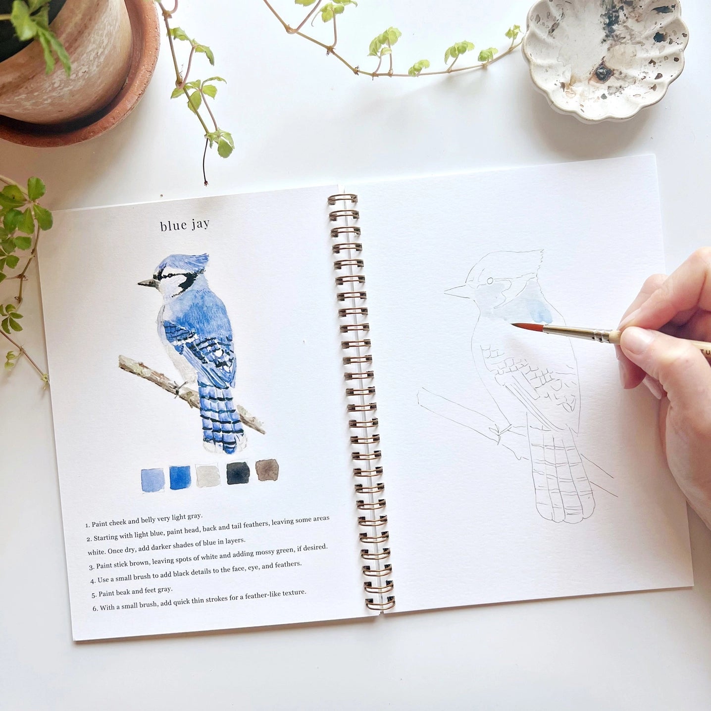 Birds Watercolor Workbook With Watercolor Paint Set